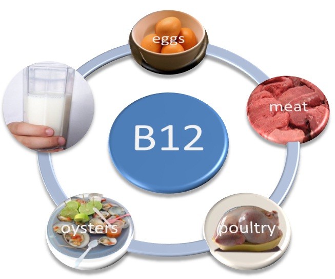B12 vitamini nerelerde bulunur