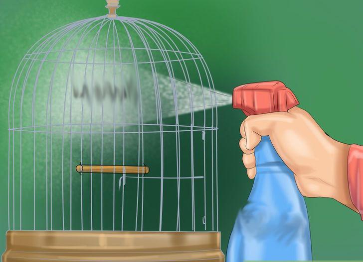 Muhabbet kuşu kafesi temizliği nasıl yapılır