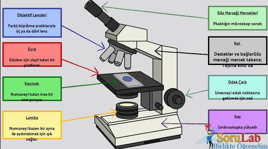 Mikroskop Nasıl Kullanılır?